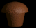 (MuffiNET) 